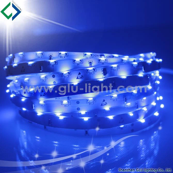 3 year warranty 12V 8mm 60leds/m blue side view 3014 flexible led strip