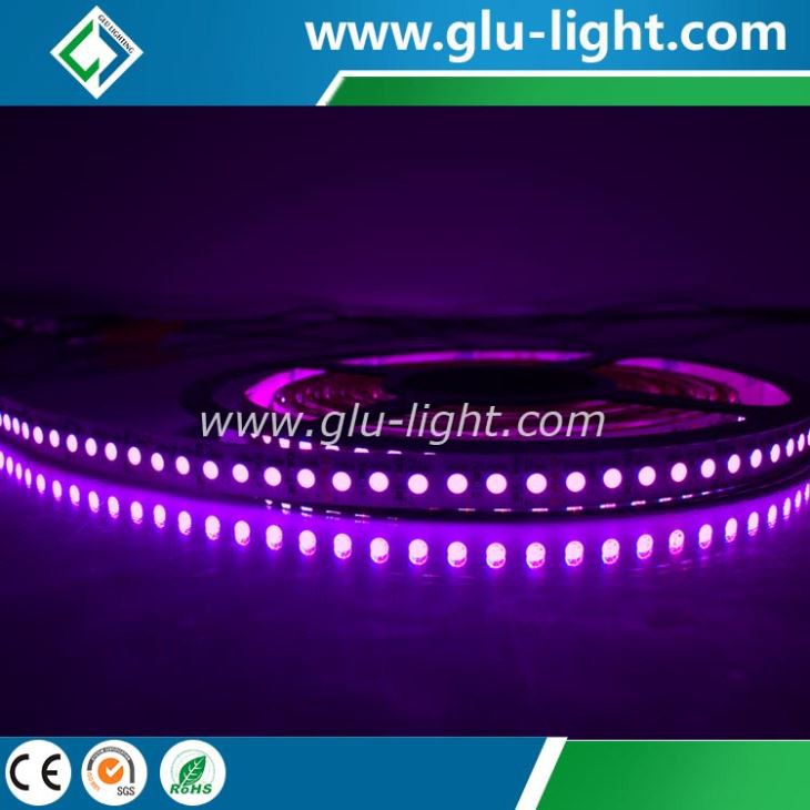 China shenzhen top quality high density epistar chip 120leds/m RGB 5050 led strip