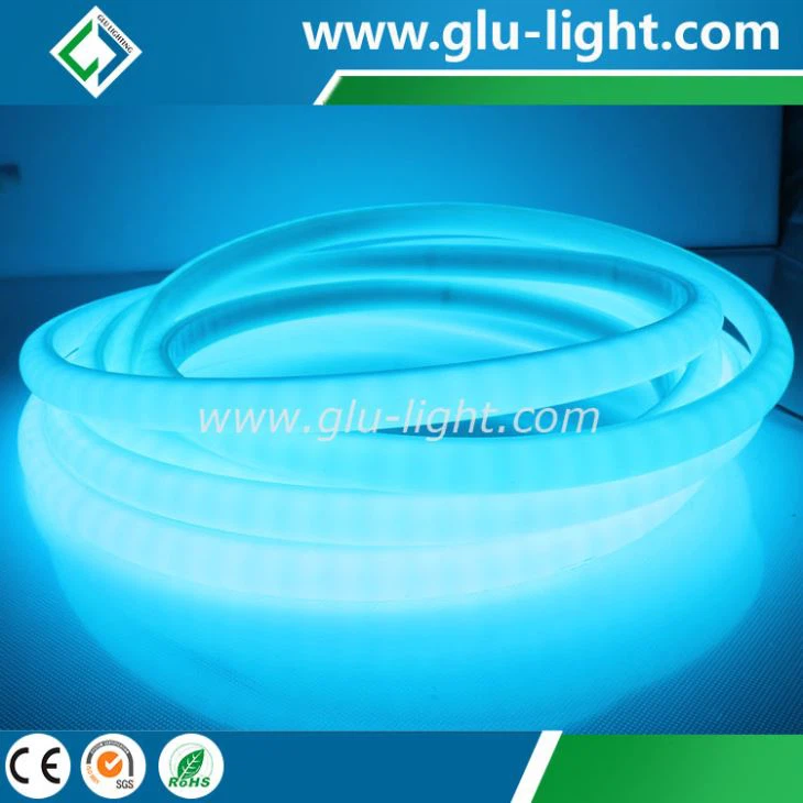 12V 24V dot free rgb led strip 5050 RGB neon led strip light led flexible neon strip light